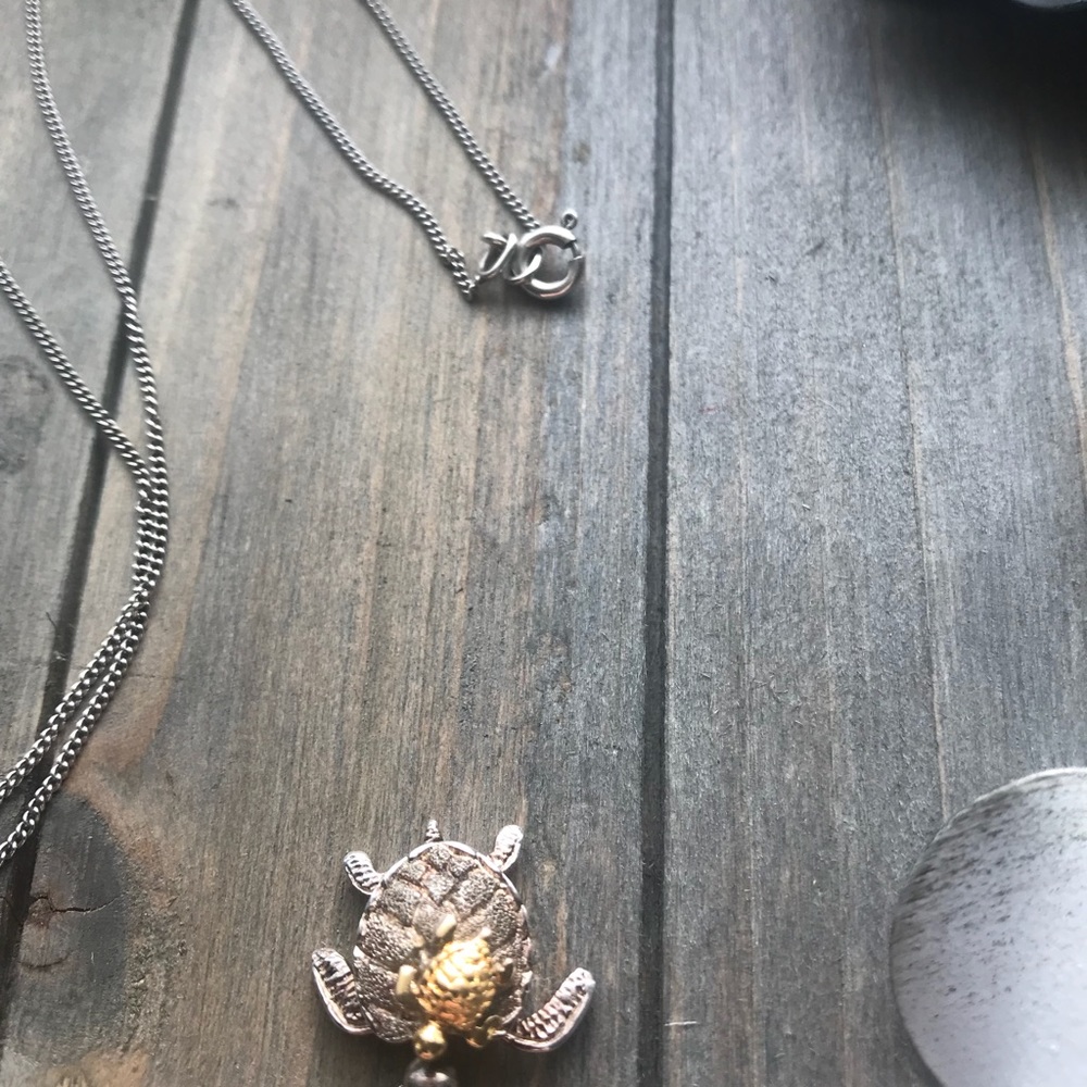 Sterling silver turtle necklace
